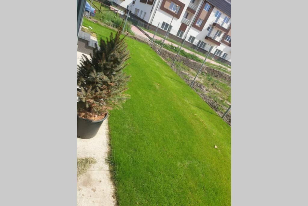 Garden Leisure Apartments Braşov Esterno foto